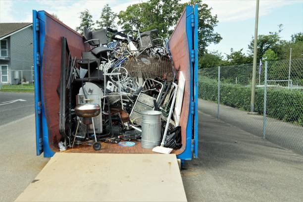 Debris Removal in Detroit Lakes, MN